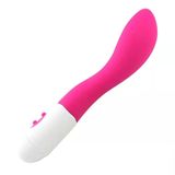 Lilitu Shop 18,5 cm Güçlü Titreşimli Özel Kıvrımlı Teknolojik Vibratör BDM022