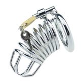 Lilitu Shop Kilitli Çelik Fetiş Penis Kafesi BDMK003