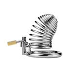 LilituShop Kilitli Çelik Fetiş Penis Kafesi BDMK008