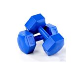 Lilys Dumbell Seti 2x8 kg