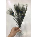 Limelia Tavuz Kuşu Tüyü Dekor İçin Parti ve Elbise Süslemeleri İçin Tüy 25-27 Cm 5 Adet