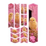 Limitless Design Bisiklet Sticker Seti civciv 22x30 cm