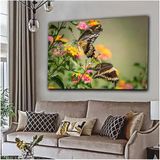 Limitless Design Kelebek Motifli Şık Tabloları Kl5|Hd Baskı Kanvas Tablo - 50 x 70 - Renkli