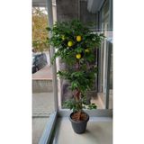 Limon Ağacı 180 Cm Yapay Ağaç Üretim Saksısı