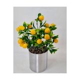 Limon Ağacı Metal Saksıda 35 Cm