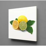 Limon İkili Kanvas Tablo