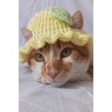 Limon Sarı Bucket Şapka Örgü Kedi Köpek Şapkası Evcil Hayvan Şapkası Pet Aksesuarları