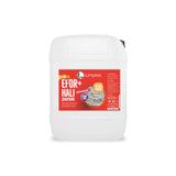 Limprox Efor+ Halı Yıkama Şampuanı İlacı | 10 Litre Yumuşak Parlak Canlı Halılar