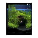 Lin Dekor 5 kg 1-2mm Hagen Siyah Bitki Kumu Akvaryum Kumu