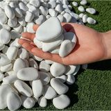 Lin Dekor Beyaz Dolomit Taş 2-4 cm 2 kg Dere Taşı Çakıl Taşı Bahçe Süs Taşı Peyzaj Taşı Dekoratif Taş - 010 - Beyaz