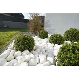 Lin Dekor Beyaz Dolomit Taş 6-10 cm 50 kg Dere Taşı Çakıl Taşı Bahçe Süs Taşı Peyzaj Taşı Dekoratif Taş - 010 - Beyaz