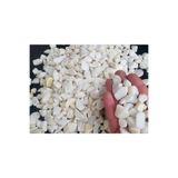 Lin Dekor Beyaz Taş 2 Kg 1-2 Cm Beyaz Dolomit Taşı Saksı Taşı Bahçe Süs Taşı Akvaryum Teraryum Taşı