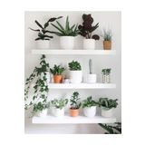 LİNDE HOME 50x15cm Beyaz Duvar Rafı, Duvar Dekorasyonu, Kitaplık