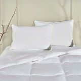 Linens Elegance Kaz Tüyü Standart Yastık - Renkli - 50 x 70 cm