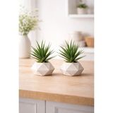 Lineva 2 Adet Beton Saksıda Yeşil Yapay Kaktüs Aloevera - 001-Renkli