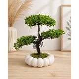 Lineva Beyaz Bubble Saksıda Yapay Bonsai Ağacı Dekoratif Saksı Çiçeği Ev Ofis Masa Üstü Bitki