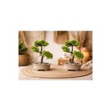 Lineva Dekoratif Bonsai Yapay Ağaç 2’li Set – Ev & Ofis Masa & Raf Dekoru
