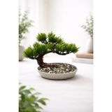 Lineva Dekoratif Tabakta Bonsai Ağacı – Ev & Ofis Masa / Raf Dekoru - Yeşil