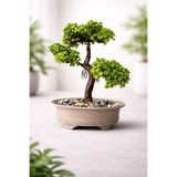 Lineva Dekoratif Yapay Bonsai Mini Ağaç – Masaüstü Ev Ofis Süs Bitkisi (1 Adet)