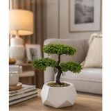 Lineva Geometrik Beton Saksıda Yapay Bonsai Ağacı Dekoratif Masa Üstü Bitki - Beyaz