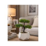 Lineva Geometrik Beton Saksıda Yapay Bonsai Ağacı Dekoratif Masa Üstü Bitki