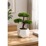 Lineva Geometrik Beton Saksıda Yapay Bonsai Ağacı Dekoratif Masa Üstü Bitki