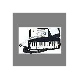 Lino 25 Tuşlu ve Çantalı Melodika