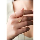 LİNOVE JEWELLERY F Harf Gümüş Kolye 925 Ayar Gümüş Üzeri 14k Altın Kaplama Harfli Kalp Kolye