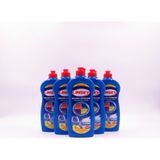 Linsey 5'li Avantaj Set, Bulaşık Deterjanı, 750 Ml, Limonlu, Aktif Hijyen, Detsan Güvencesiyle (51. Yıl)