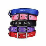 Lion 1030A-30 65 cm Soft Köpek Boyun Tasması
