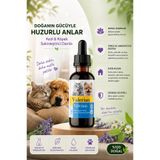Lion Paw Kedi ve Köpek Sakinleştirici Damla 50 ml | Doğal Bitkisel Rahatlatıcı Destek