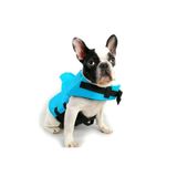 Lion Pet Lion Shark Köpek Can Yeleği M (Karışık Renk)