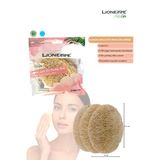 Lionesse L-447 3'lü Kabak Lifli Yüz Peeling Diski