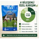 Lippa Pro Special 4s Çim Tohumu, 4 Bileşenli Özel Karışım, 1 kg | Kireç ve Tuzluluk Problemi - Çok Renkli