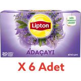 Lipton Adaçayı Bitki Süzen Bardak Poşet Çayı 20LI x 6 Adet