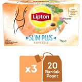 Lipton Bardak Poşet Bitki Ve Meyve Çayı Kayısılı 20'Li x 3 Adet