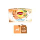 Lipton Slim Plus Kayısılı Karışık Bitki Çayı 20li X 6 Adet