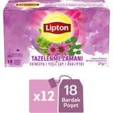Lipton Tazelenme Zamanı Ekinezya ve Ökaliptuslu Bitki ve Meyve Çayı Karışımı 18LI x 12 Adet - Bitki Çayı