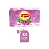 Lipton Tazelenme Zamanı Ekinezya ve Ökaliptuslu Bitki ve Meyve Çayı Karışımı 18li x 2 Adet