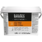 Liquitex Professional Akrilik Satin Varnish 1.89L (Saten/yarı Parlak Vernik)