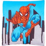 Lisanslı Spiderman City 40X40 Kırlent Renkli/baskılı
