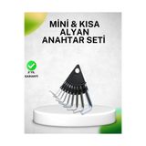 Lisinya 9 Parça Alyan Anahtar Seti Isıl İşlem Görmüş Dayanıklı Çelik - Lisn-UCZZZ9PARALYANSET-3434-ER