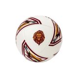 Lisinya Galatasaray Futbol Topu Newforce 01 No:5 *25