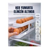 Lisinya İki Katlı Yumurta Organizeri Buzdolabı Düzenleyici Pratik Saklama Rafı - Lisn-UCZZDPYUMURTADZENLEYC-4-3434-ER