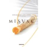Lisinya Misvak