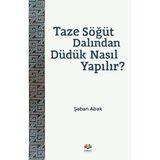 Lisinya Taze Söğüt Dalından Düdük Nasıl Yapılır?