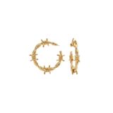lissstudio Dikenli Tel Formlu Gold Halka Küpe