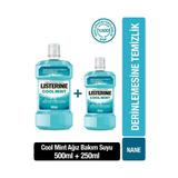 Listerine Cool Mint 500 250 ml X2 Adet