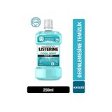 Listerine Cool Mint Ağız Bakım Suyu 250 ml Günlük Ağız Bakımı