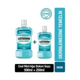 Listerine Cool Mint Ağız Gargarası 500+250 Ml Set